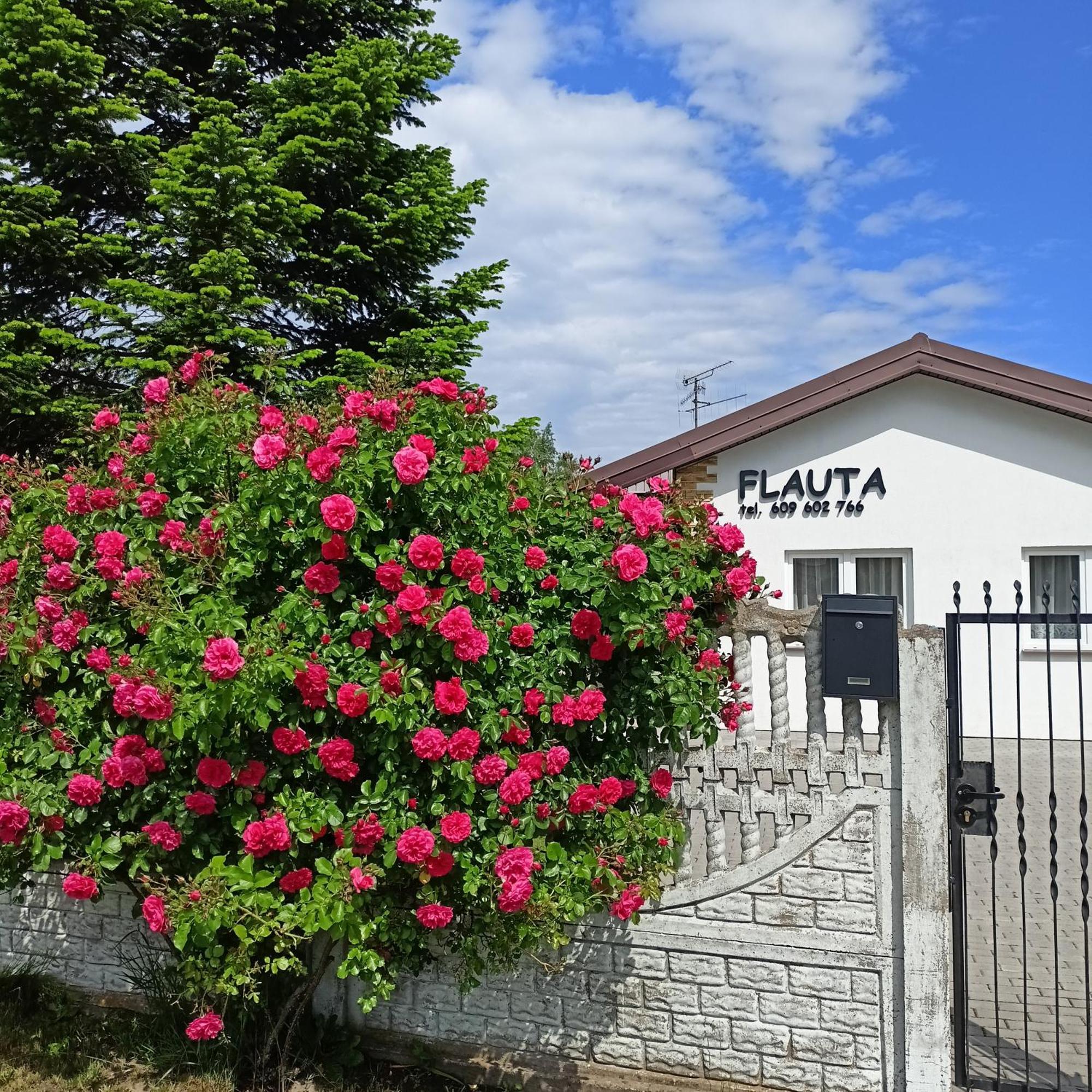 Flauta Apartamenty Rodzinne Mielenko Exterior photo